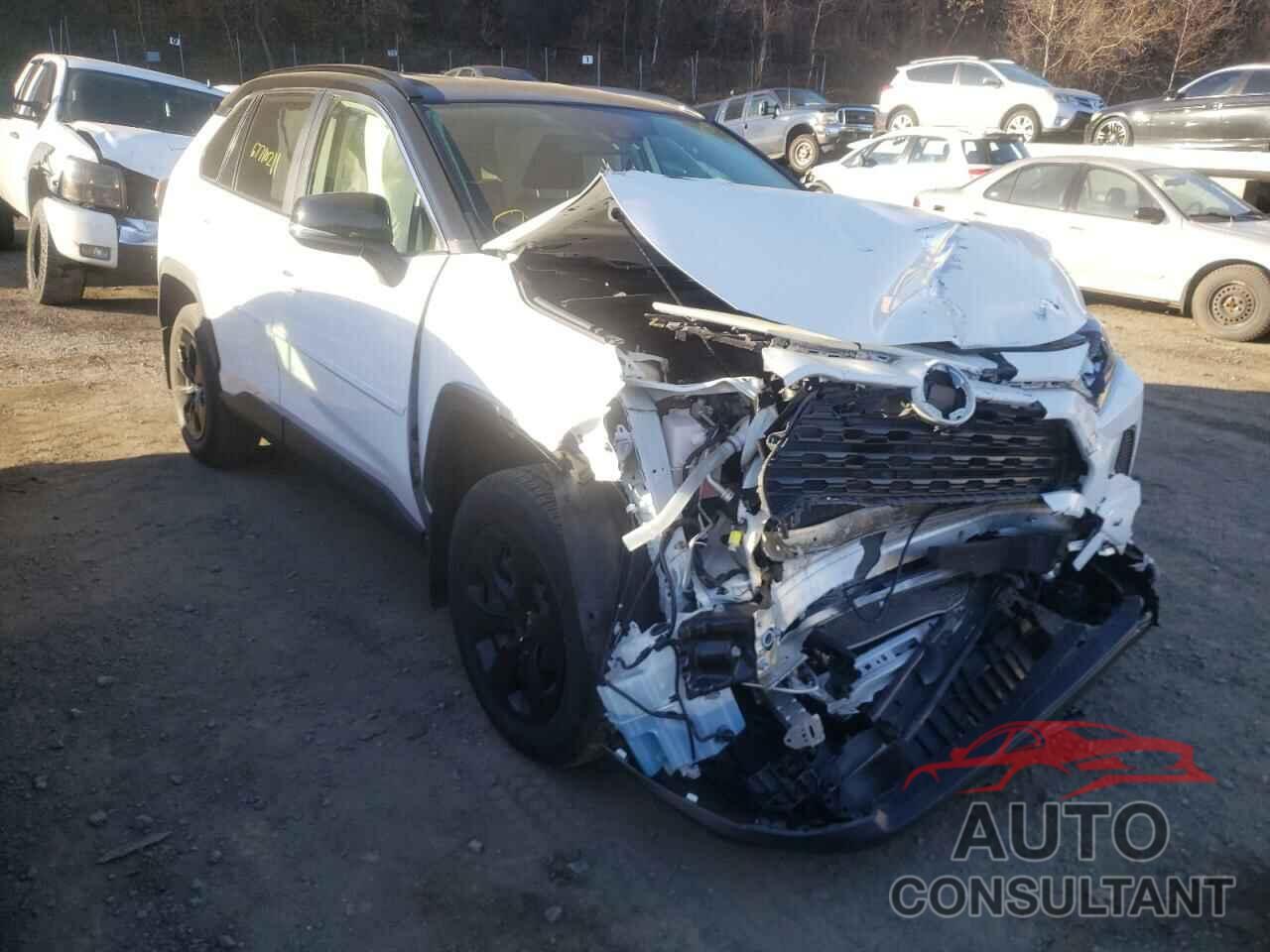 TOYOTA RAV4 2019 - JTMG1RFV5KJ002598
