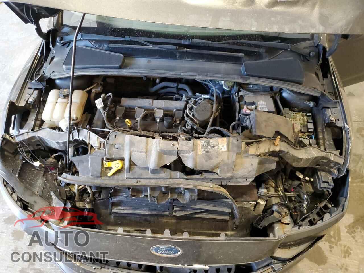 FORD FOCUS 2016 - 1FADP3F22GL290151