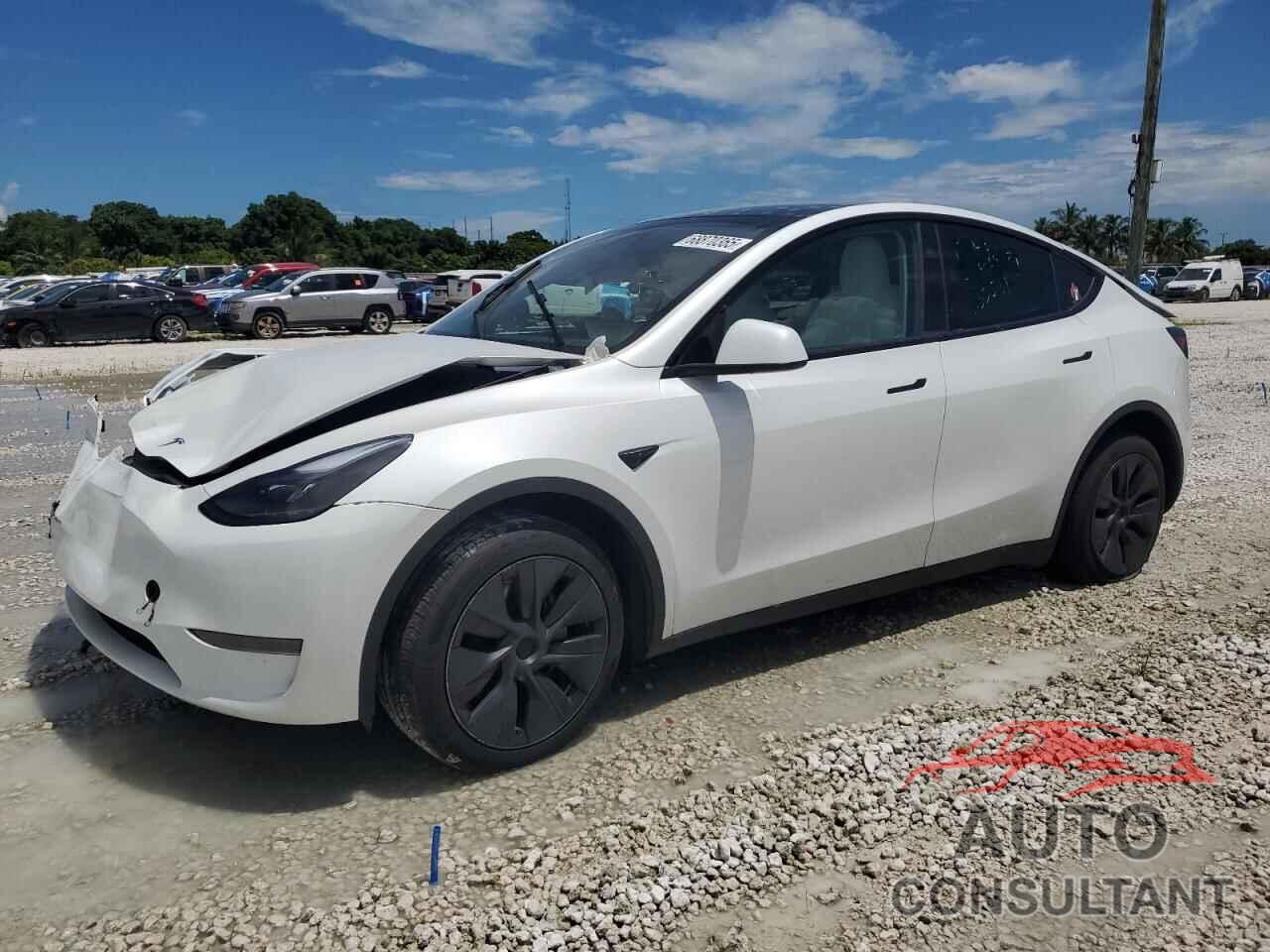 TESLA MODEL Y 2024 - 7SAYGDED1RF169415