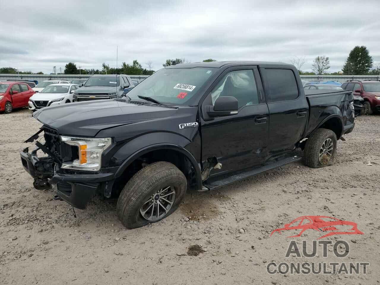 FORD F-150 2019 - 1FTEW1EP6KFB15203