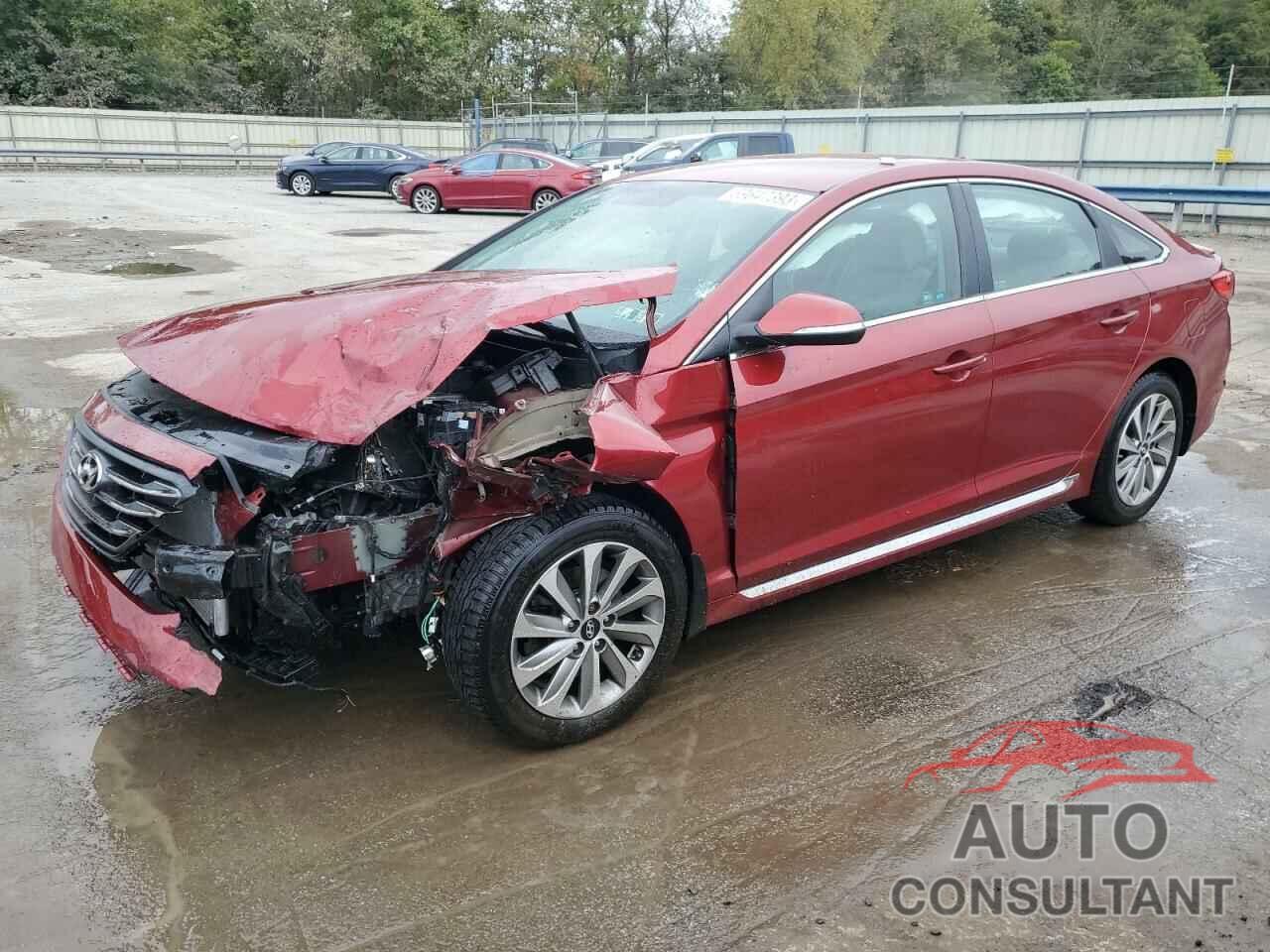 HYUNDAI SONATA 2016 - 5NPE34AF1GH296392