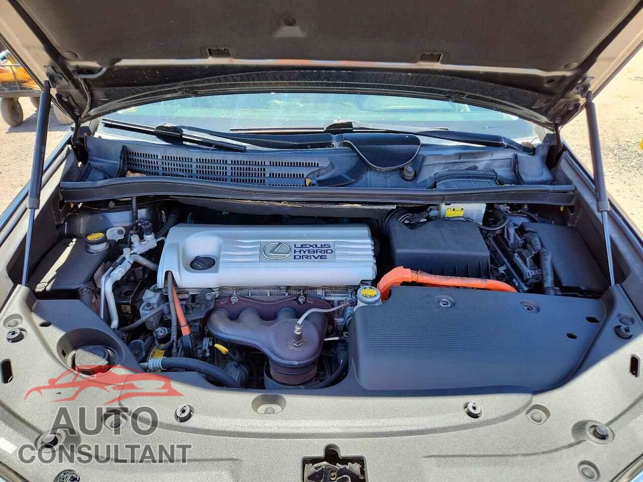 LEXUS HS 2010 - JTHBB1BA2A2023282