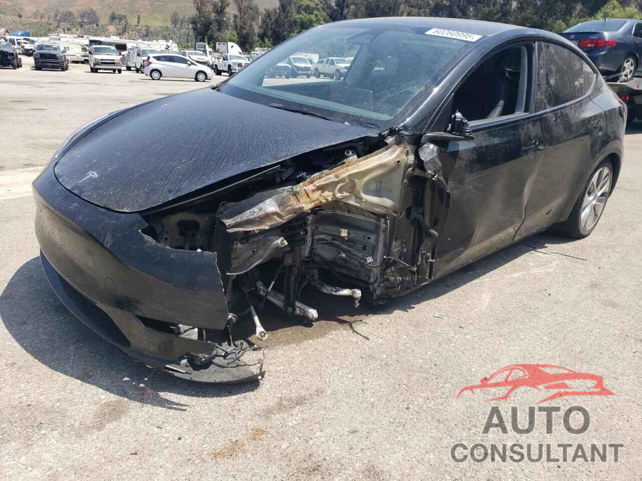 TESLA MODEL Y 2024 - 7SAYGDEE1RF982133