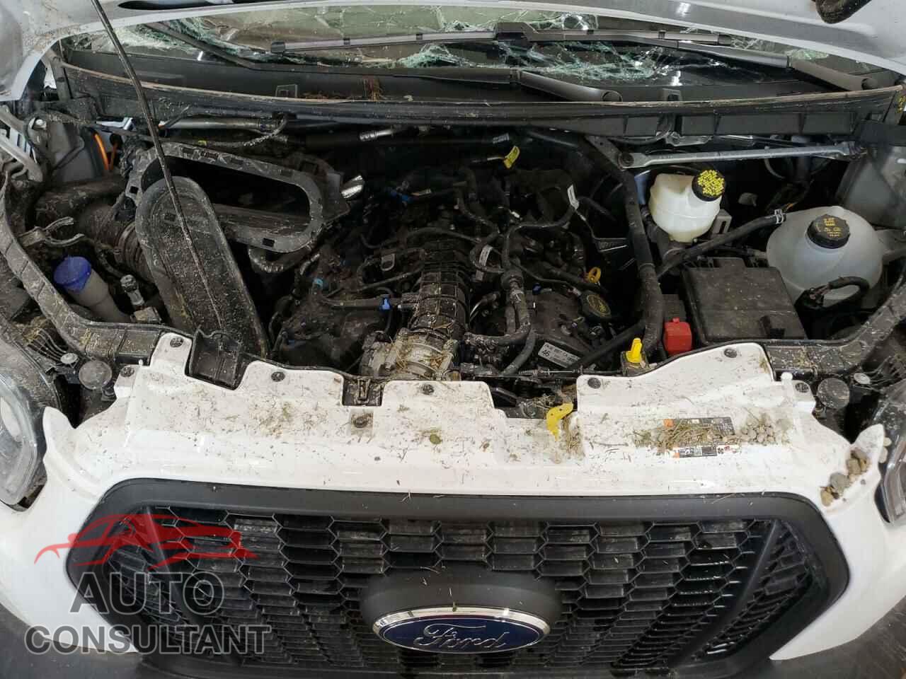 FORD TRANSIT 2025 - 1FDSF6PG4SKA19022