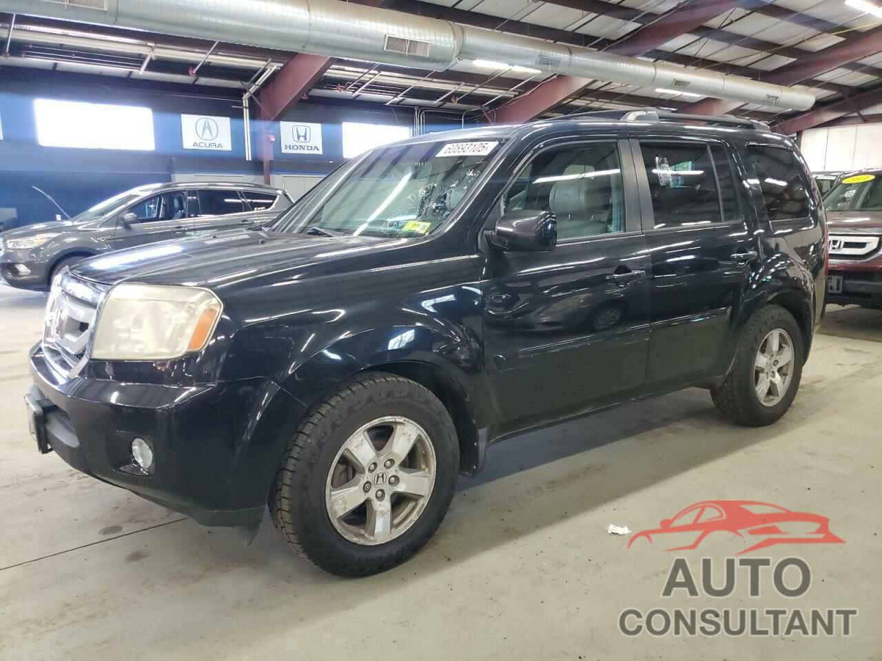 HONDA PILOT 2010 - 5FNYF4H55AB020935