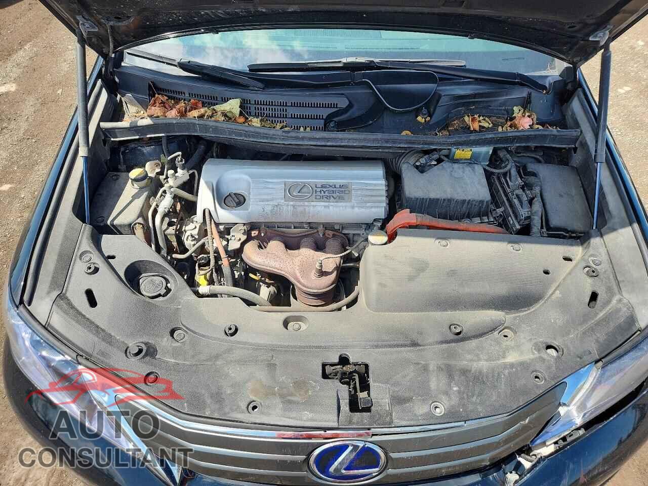 LEXUS HS 2010 - JTHBB1BA3A2030922