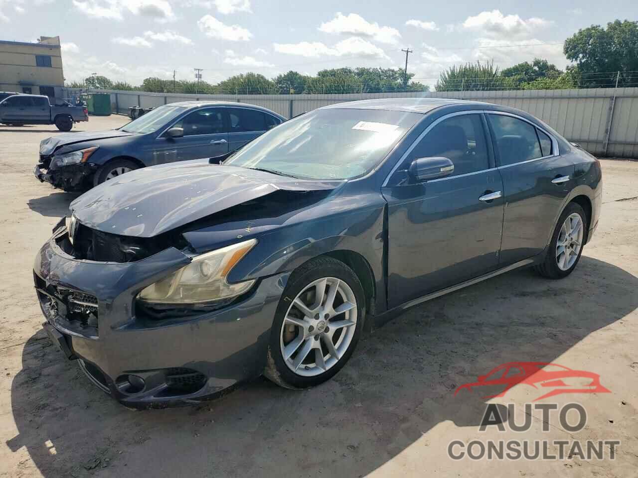 NISSAN MAXIMA 2009 - 1N4AA51E39C828361