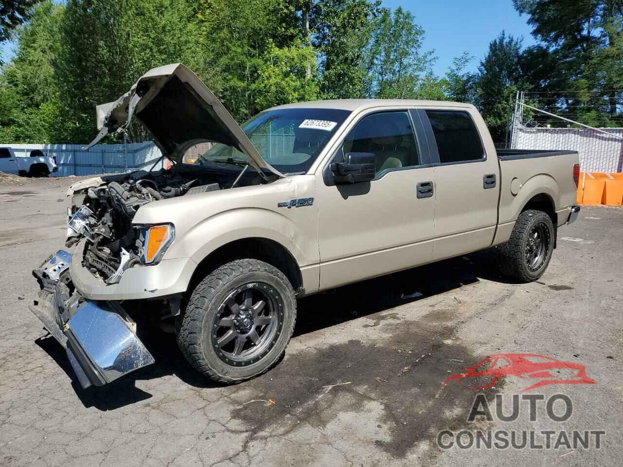 FORD F-150 2010 - 1FTFW1EV6AFB53385