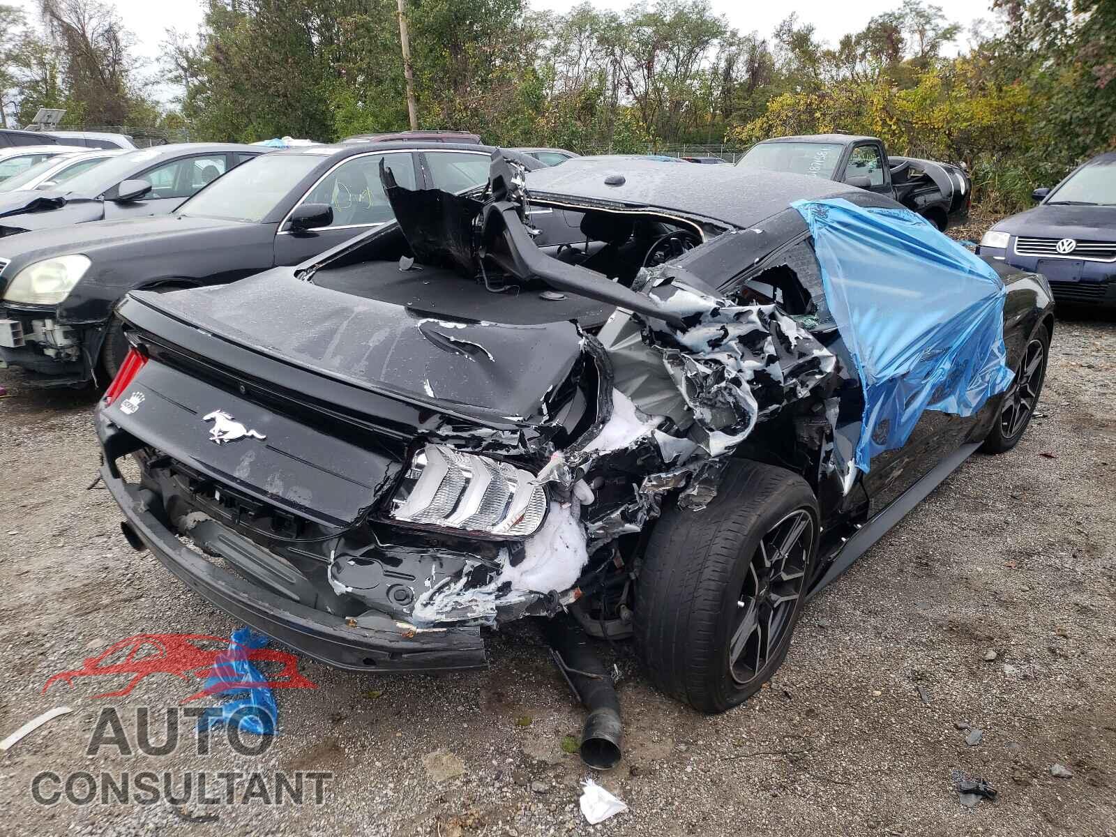 FORD MUSTANG 2019 - 1FA6P8TH1K5133321