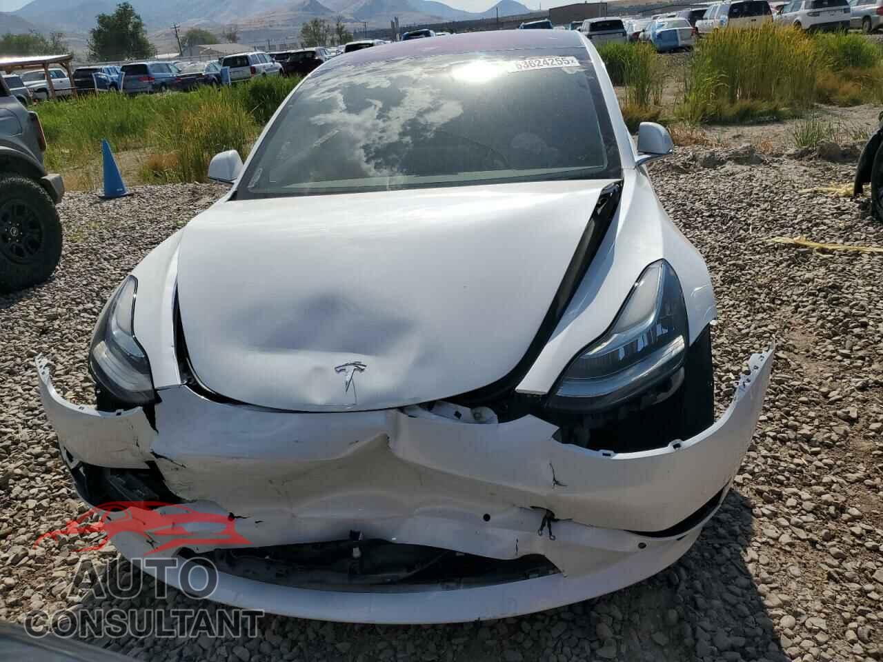 TESLA MODEL 3 2018 - 5YJ3E1EA6JF018334