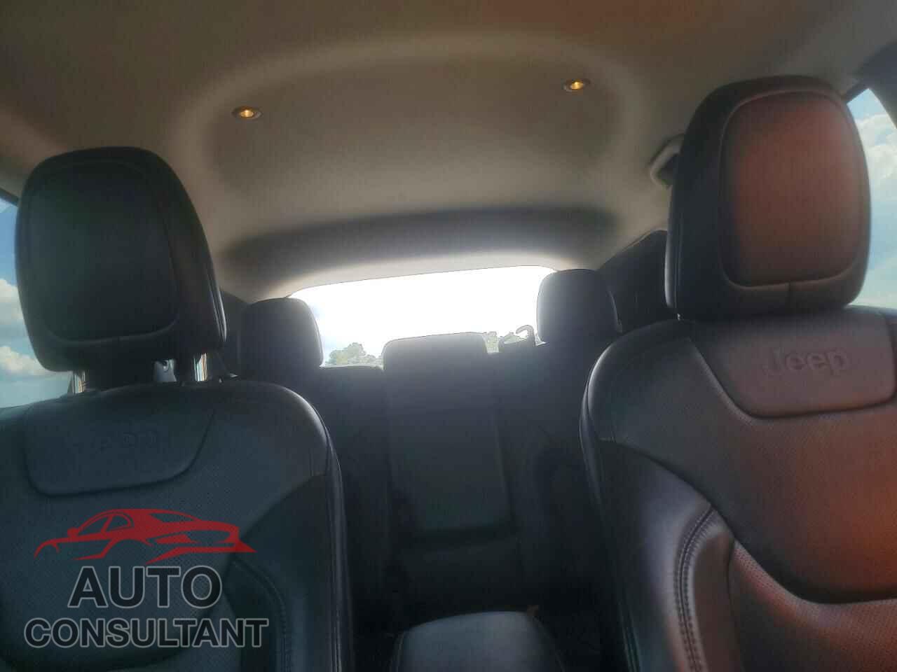 JEEP CHEROKEE 2019 - 1C4PJLDB1KD340052