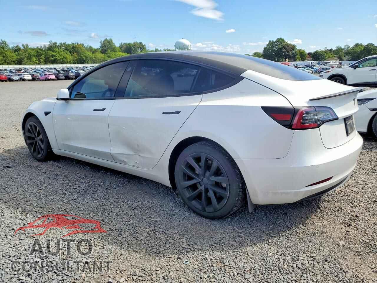TESLA MODEL 3 2019 - 5YJ3E1EB2KF510613