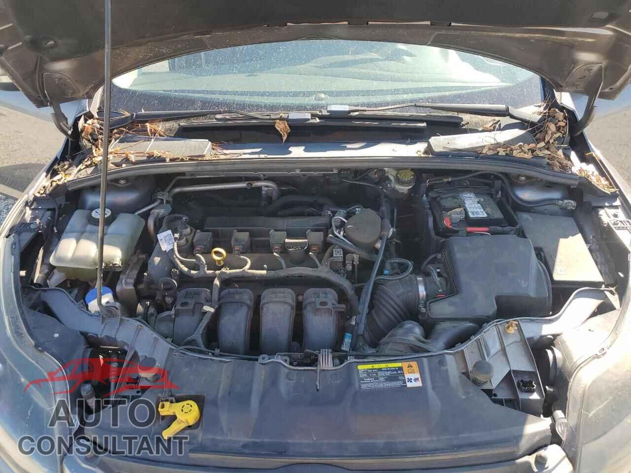 FORD FOCUS 2013 - 1FADP3F2XDL161912