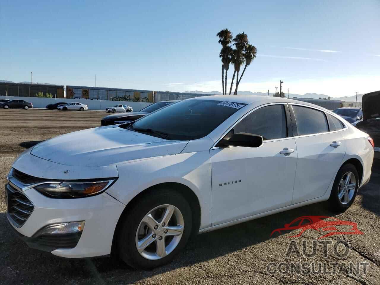 CHEVROLET MALIBU 2020 - 1G1ZB5ST1LF150344