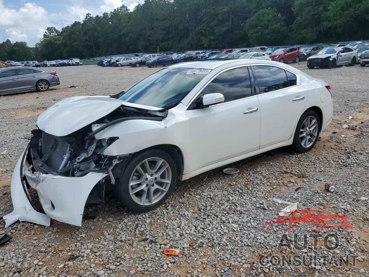 NISSAN MAXIMA 2010 - 1N4AA5AP0AC816903