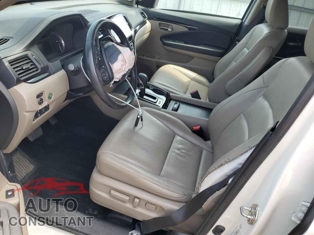 HONDA RIDGELINE 2019 - 5FPYK3F72KB025268