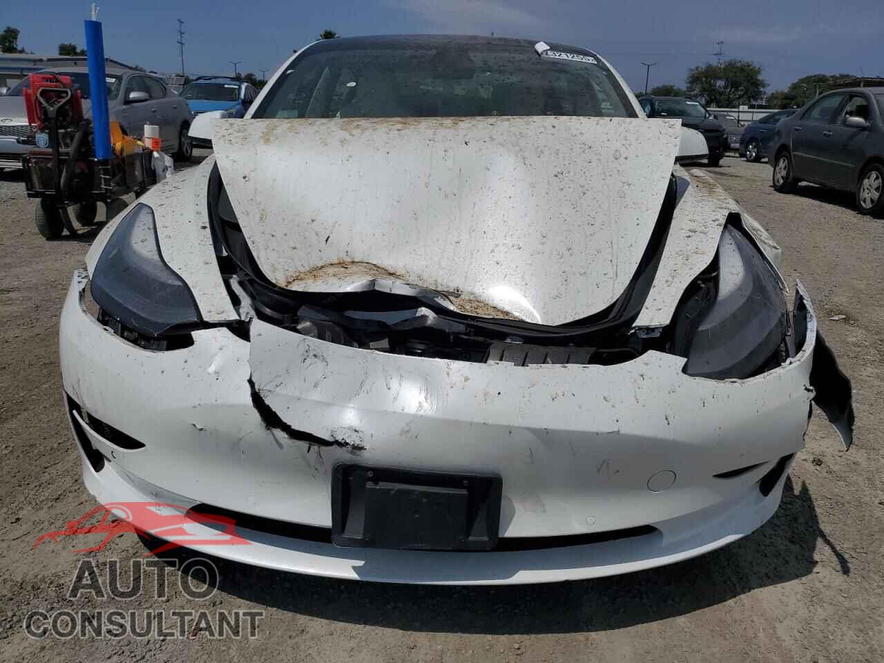 TESLA MODEL 3 2021 - 5YJ3E1EB2MF975489