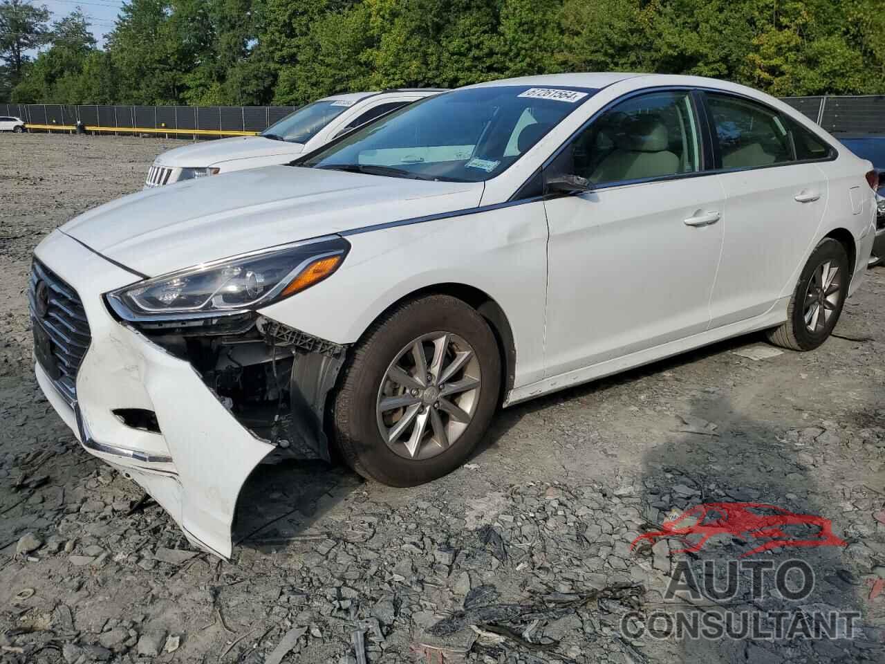 HYUNDAI SONATA 2019 - 5NPE24AF9KH787921