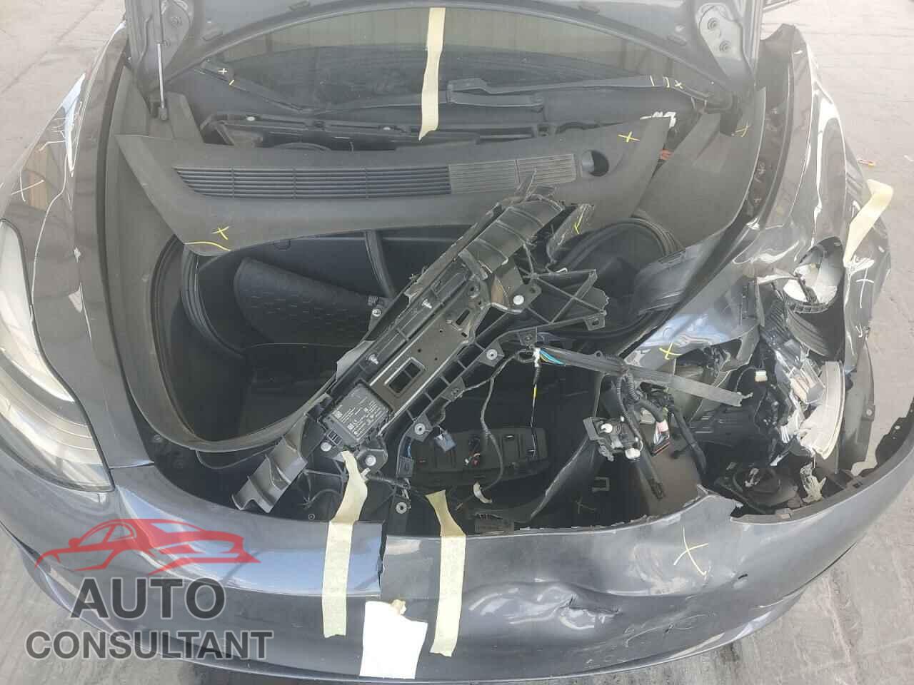 TESLA MODEL 3 2019 - 5YJ3E1EA0KF307582