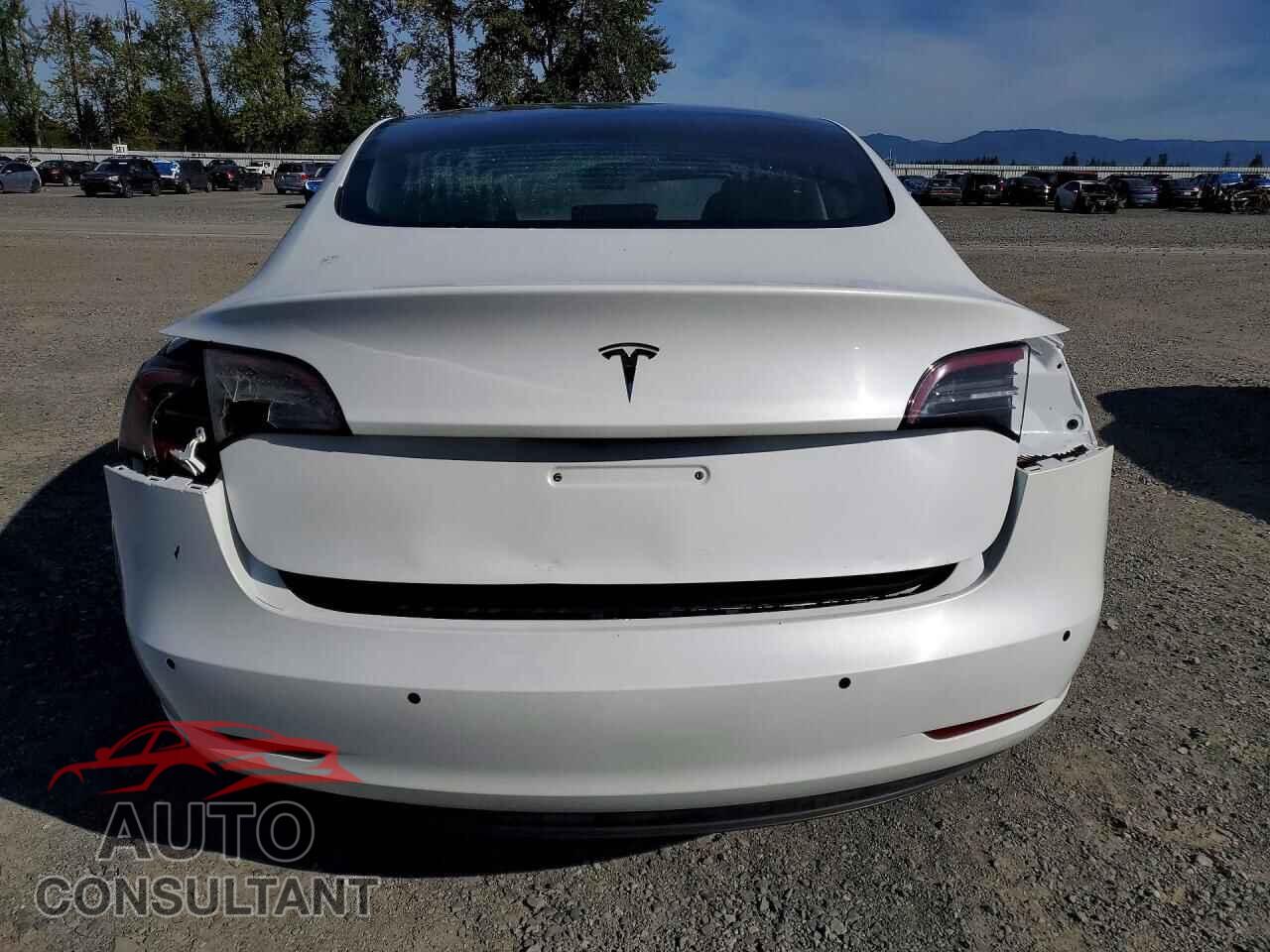TESLA MODEL 3 2020 - 5YJ3E1EA7LF612398