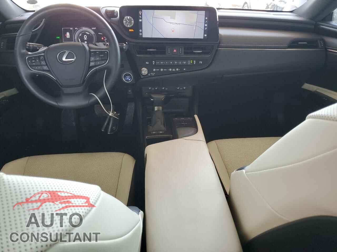 LEXUS ES300 2022 - 58ADA1C19NU017585