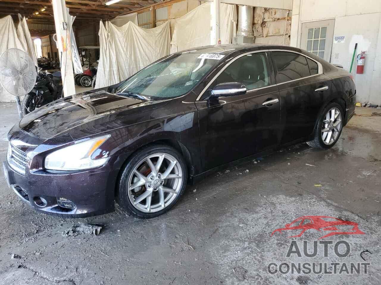 NISSAN MAXIMA 2010 - 1N4AA5AP6AC806831