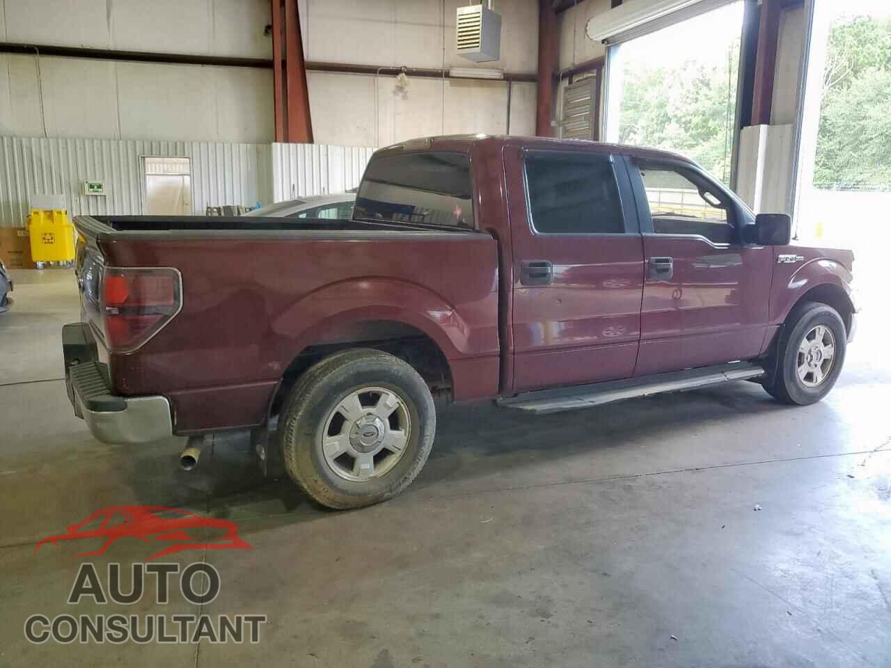 FORD F-150 2010 - 1FTEW1C8XAFA09850