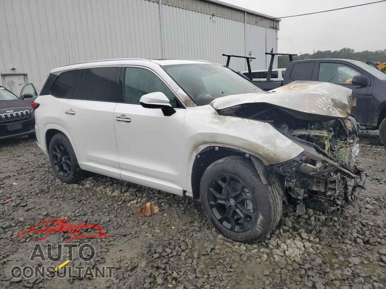 LEXUS UNKNOWN 2025 - 5TDAAAB69SS032048