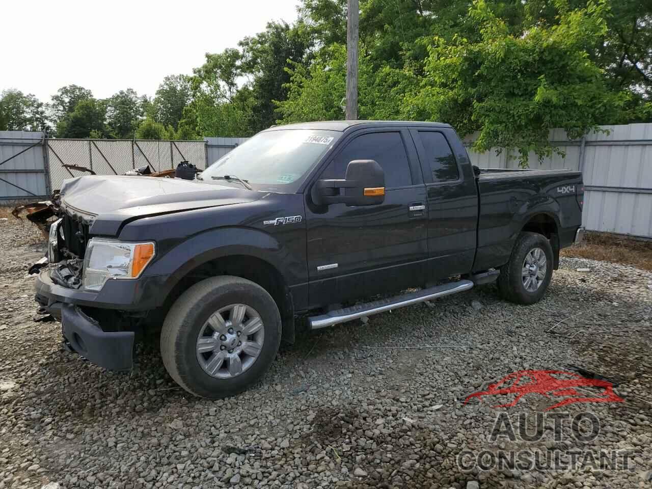 FORD F-150 2012 - 1FTFX1ETXCFB31906