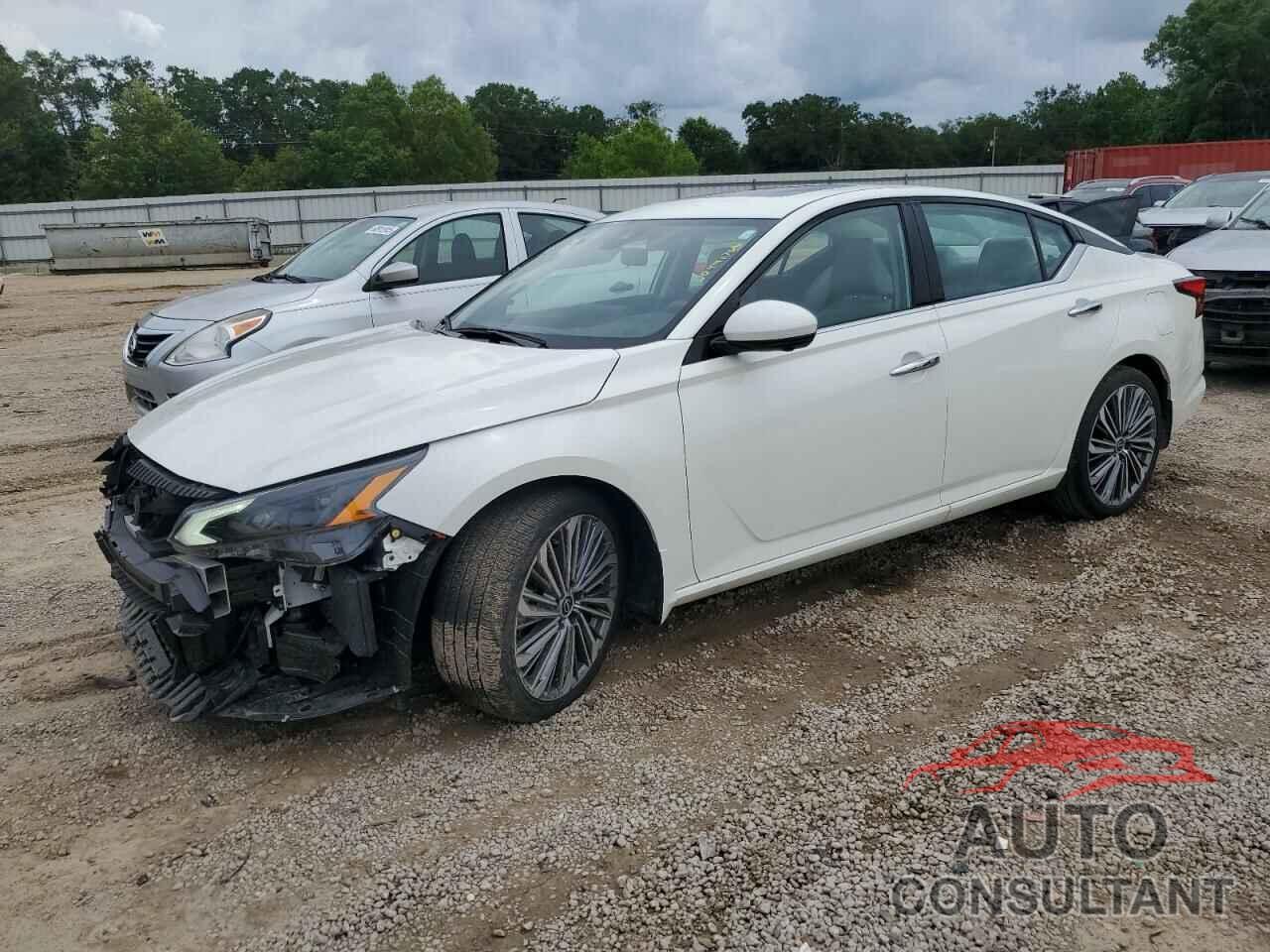 NISSAN ALTIMA 2024 - 1N4BL4EV7RN304315