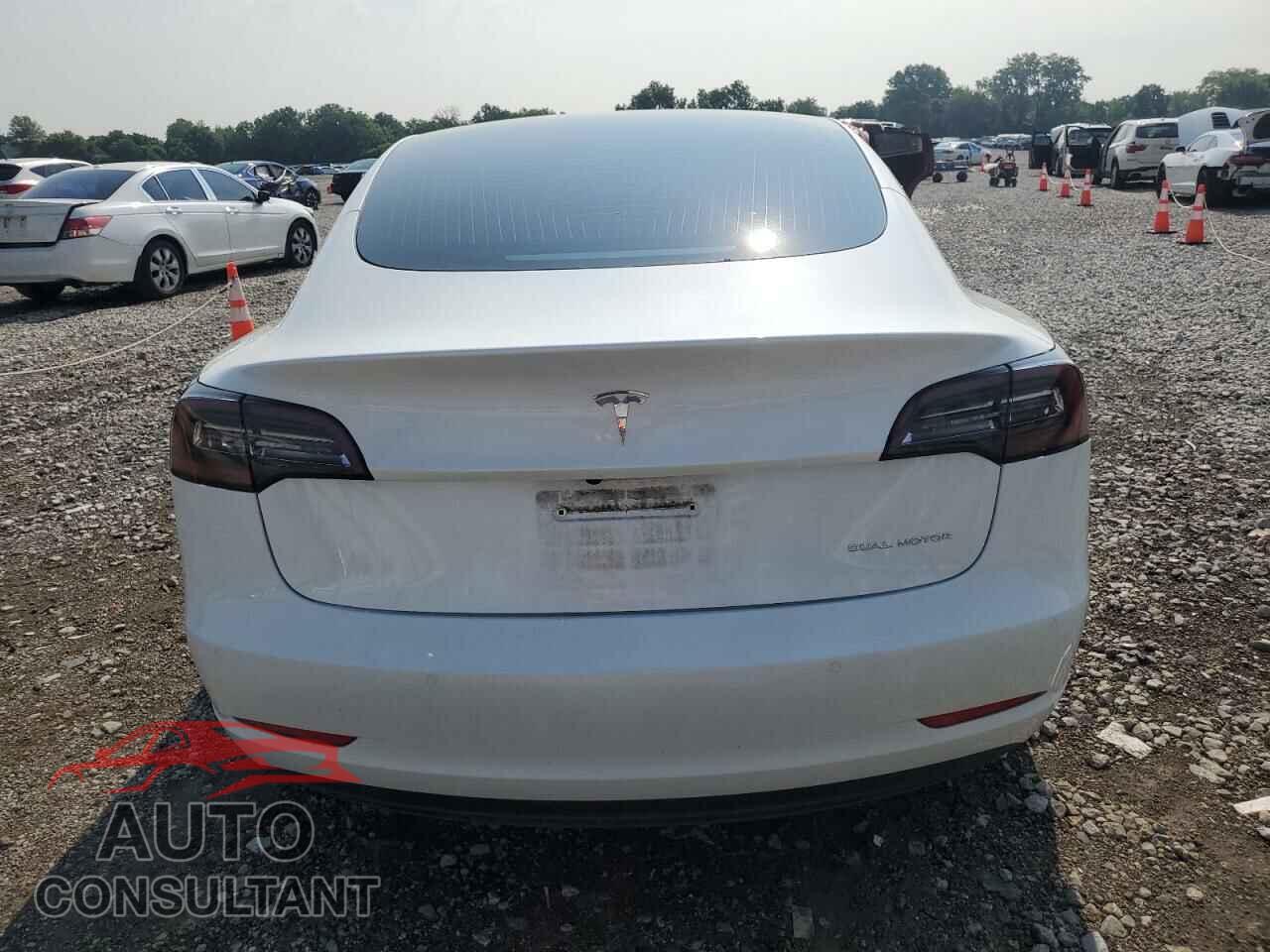 TESLA MODEL 3 2020 - 5YJ3E1EB0LF802004