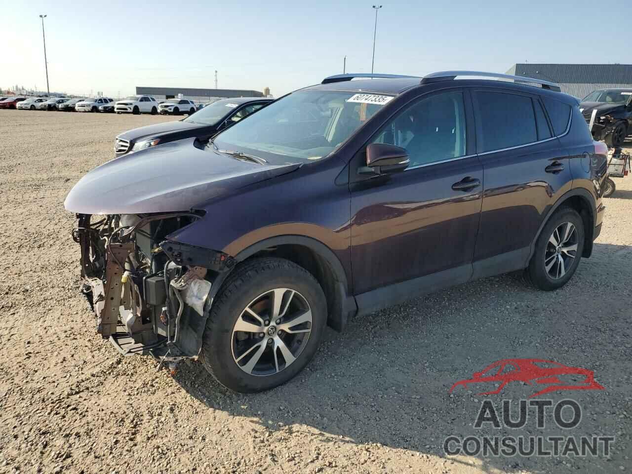 TOYOTA RAV4 2016 - 2T3RFREV1GW530949