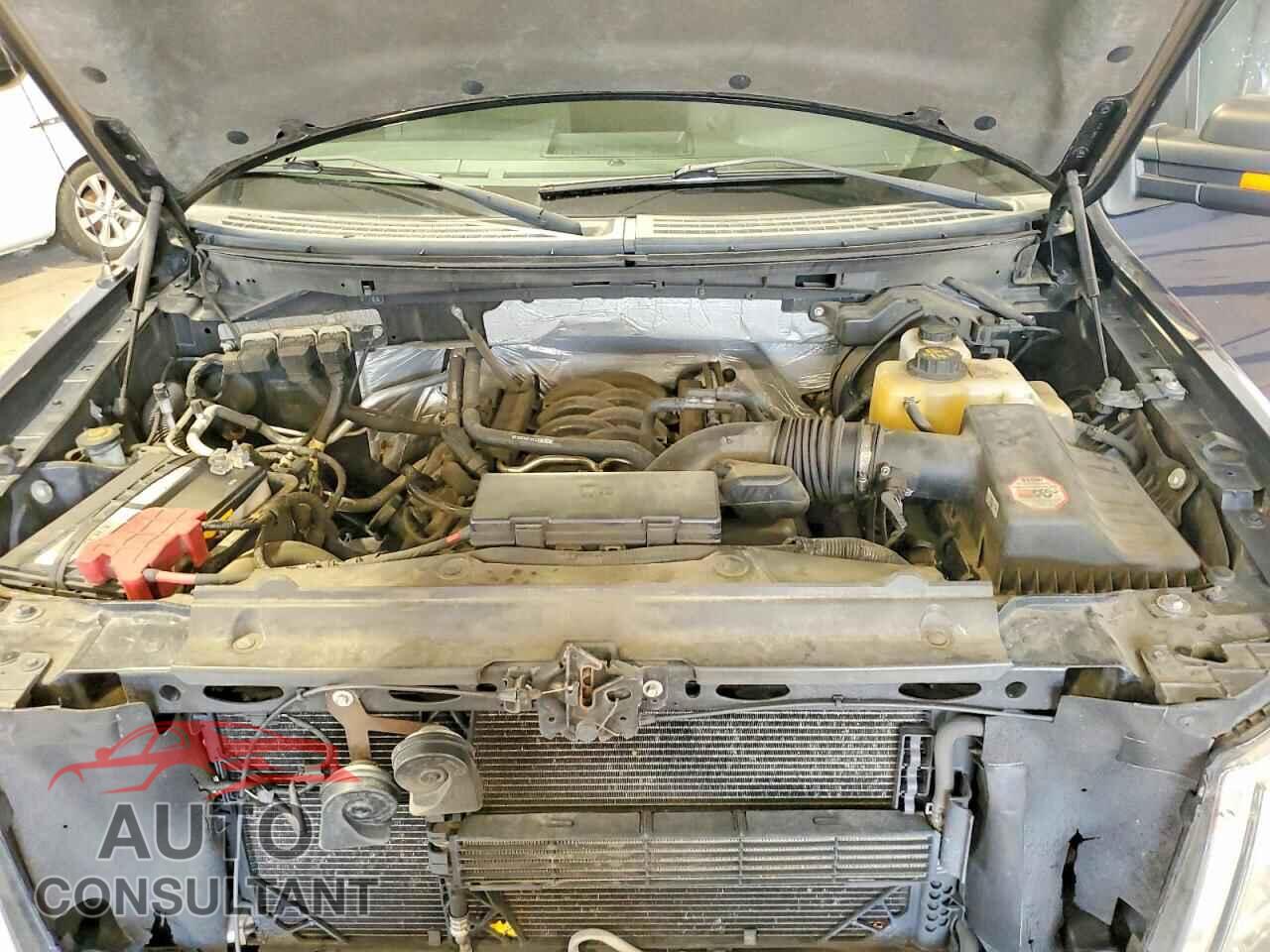 FORD F150 2013 - 1FTFW1EF4DFD39228