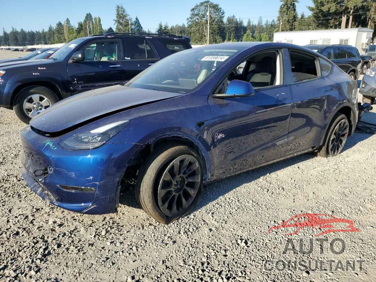 TESLA MODEL Y 2024 - 7SAYGDEE2RF006541