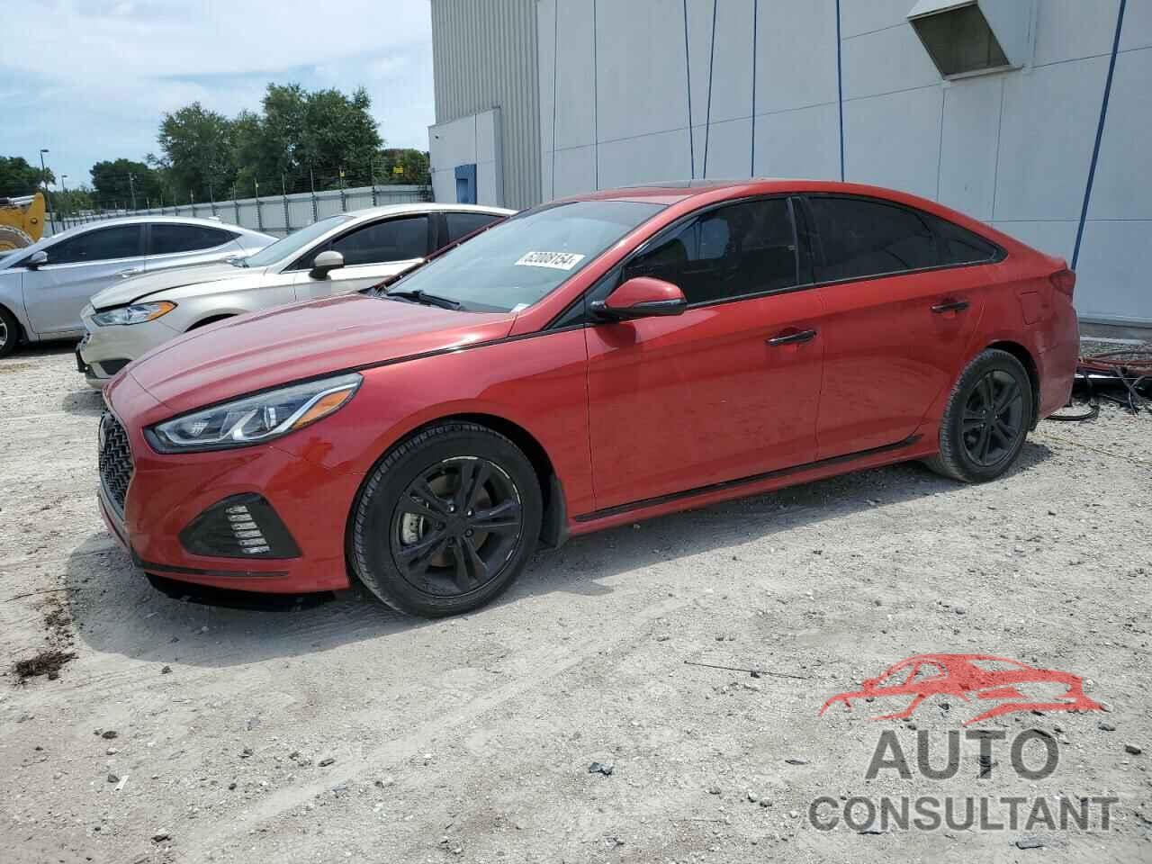 HYUNDAI SONATA 2019 - 5NPE34AF0KH808801