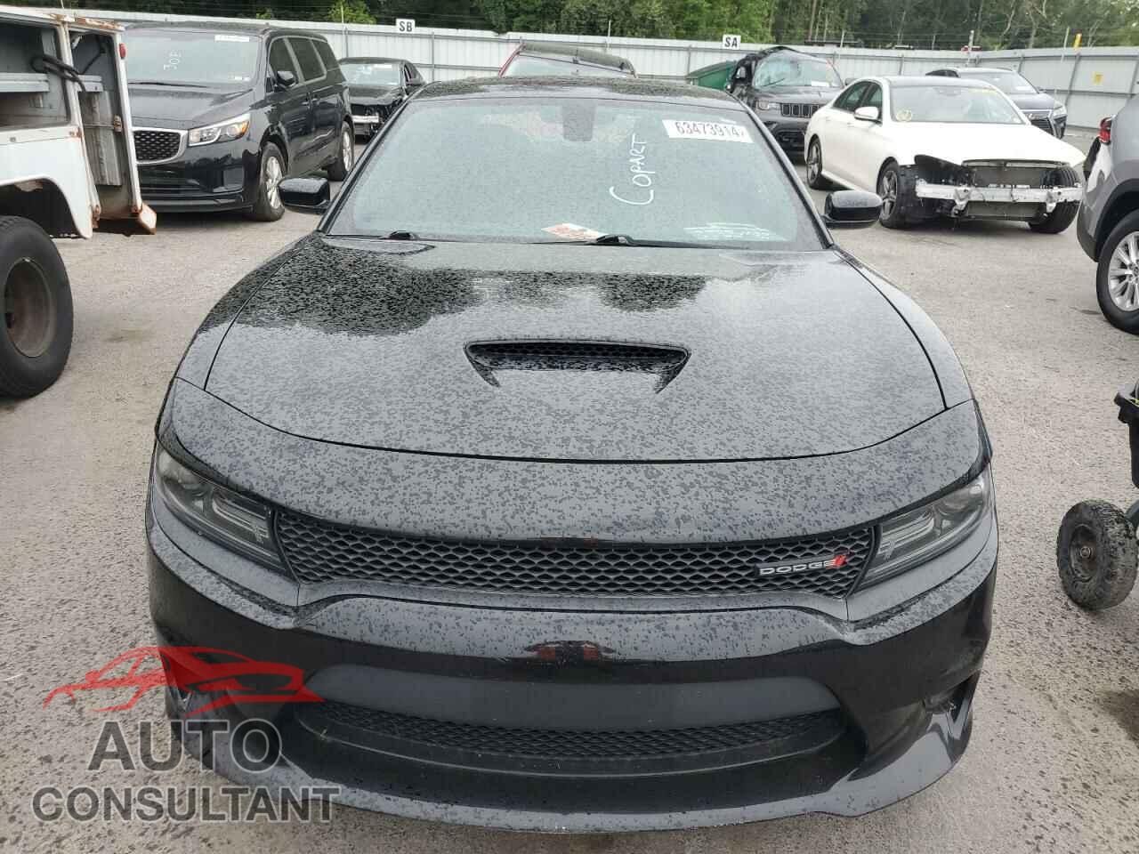 DODGE CHARGER 2019 - 2C3CDXCTXKH643314
