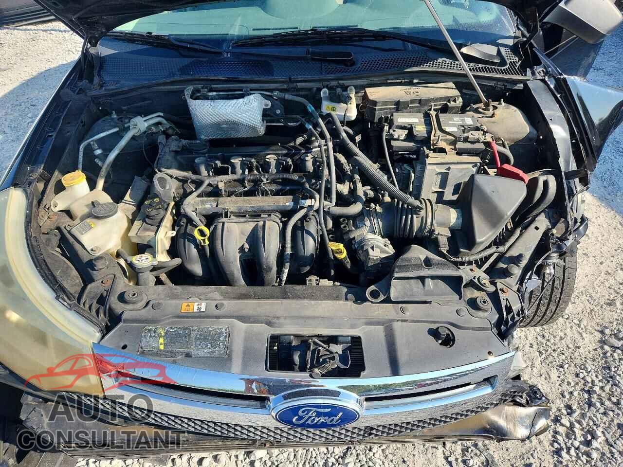 FORD FOCUS 2011 - 1FAHP3EN2BW145020