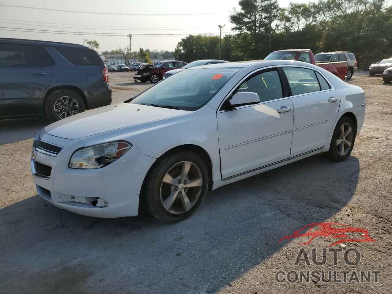 CHEVROLET MALIBU 2011 - 1G1ZC5E18BF325811