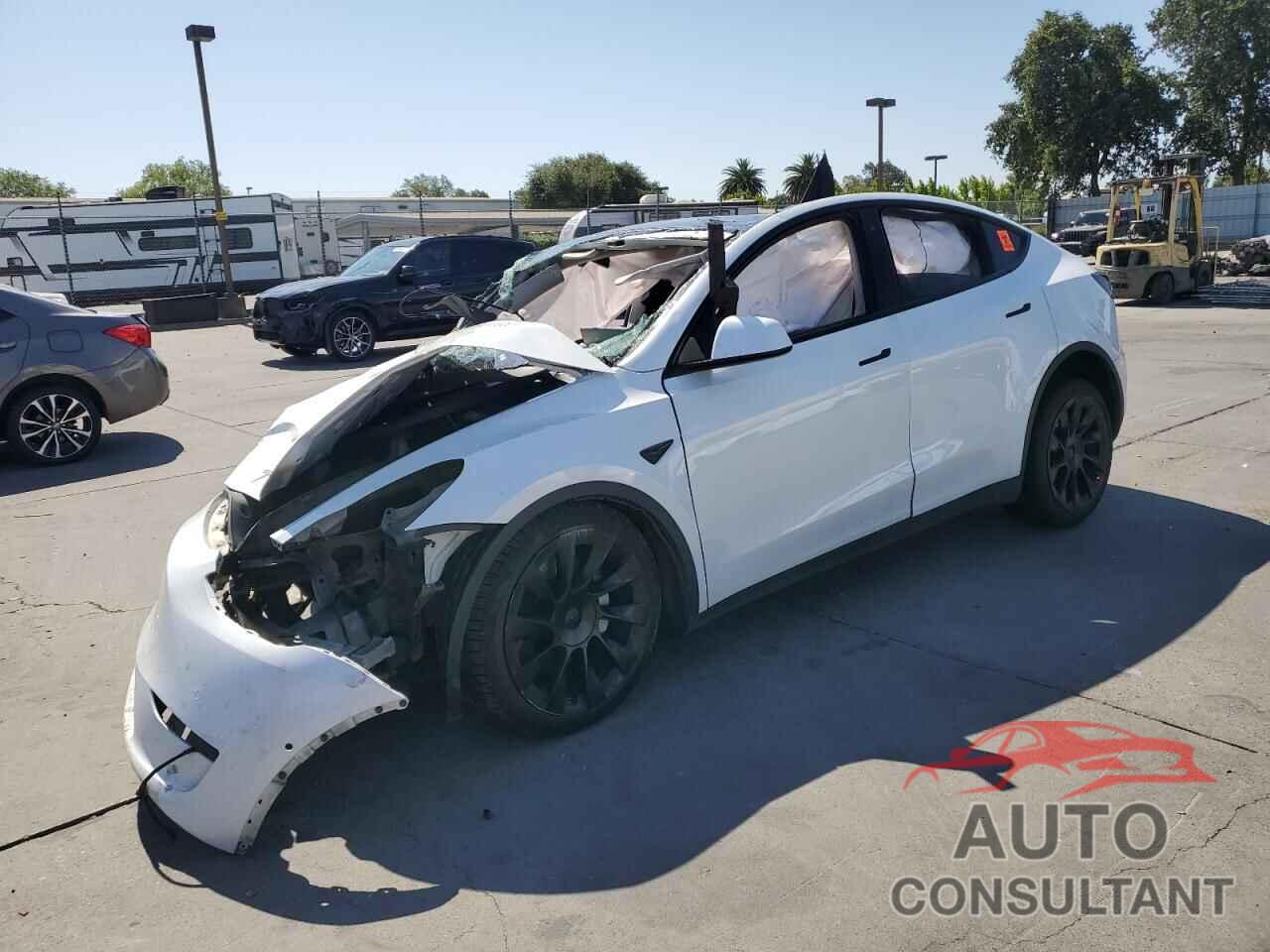 TESLA MODEL Y 2020 - 5YJYGDEE5LF055513