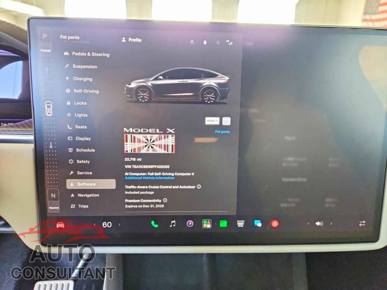 TESLA MODEL X 2023 - 7SAXCBE69PF426265