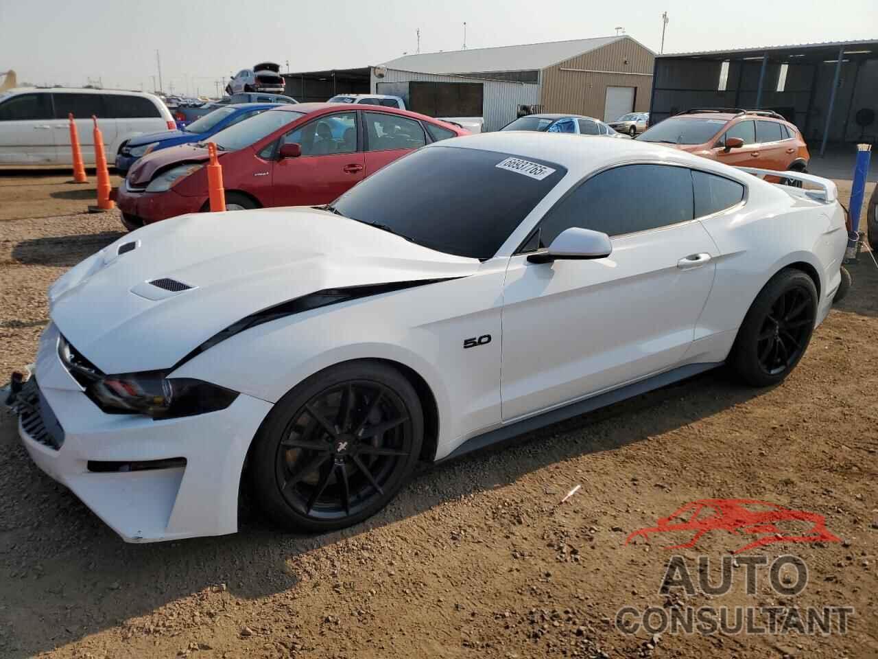 FORD MUSTANG 2019 - 1FA6P8CF9K5118385