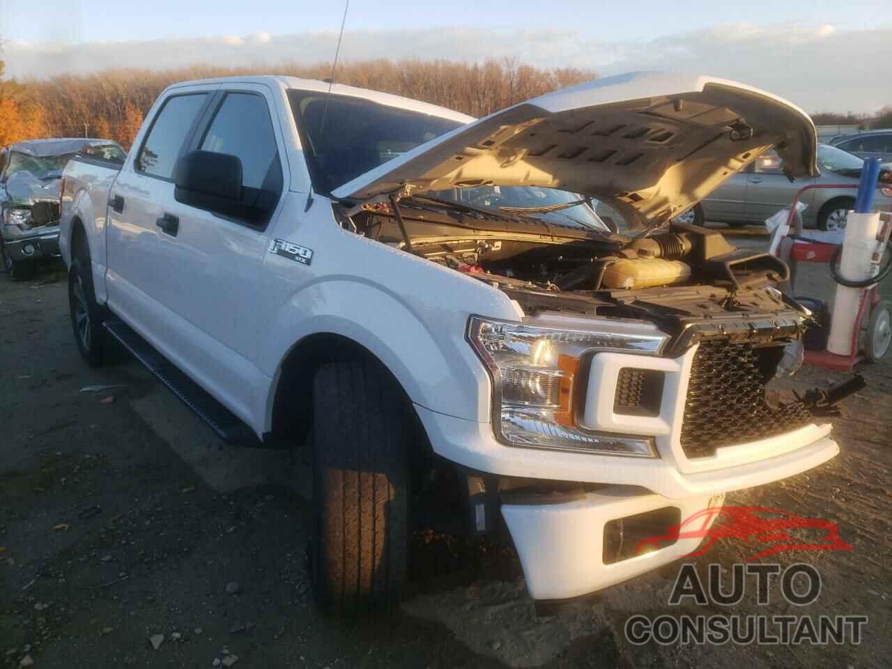 FORD F-150 2019 - 1FTEW1CP4KFB77928