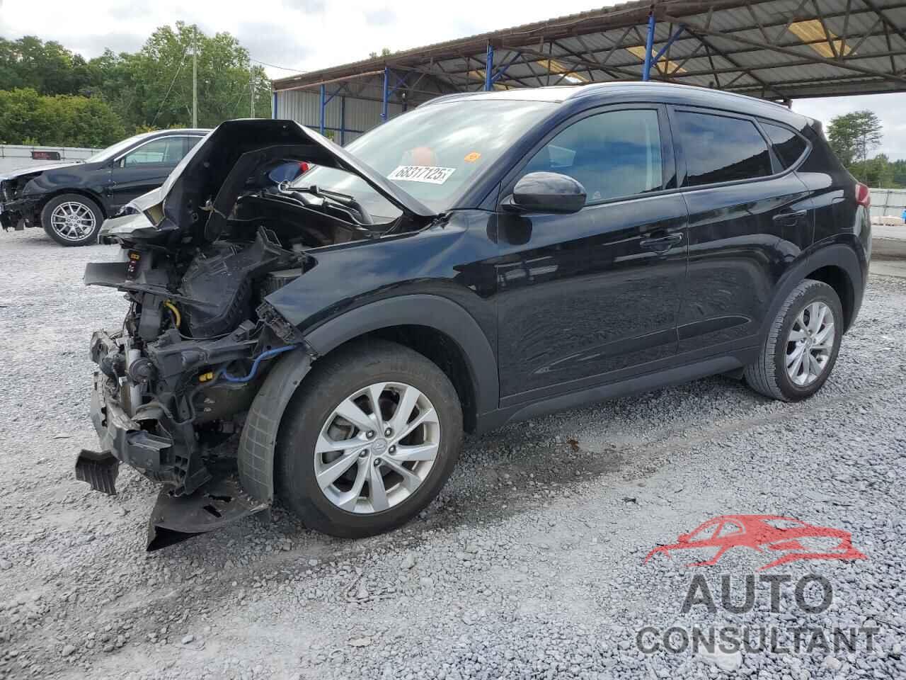 HYUNDAI TUCSON 2019 - KM8J33A47KU019229