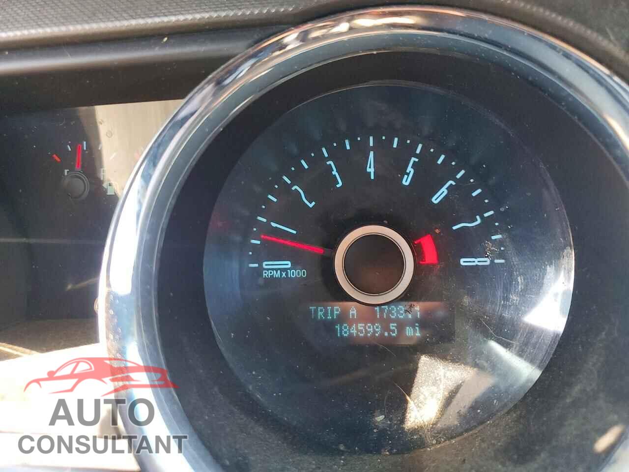FORD MUSTANG 2014 - 1ZVBP8AM4E5244620