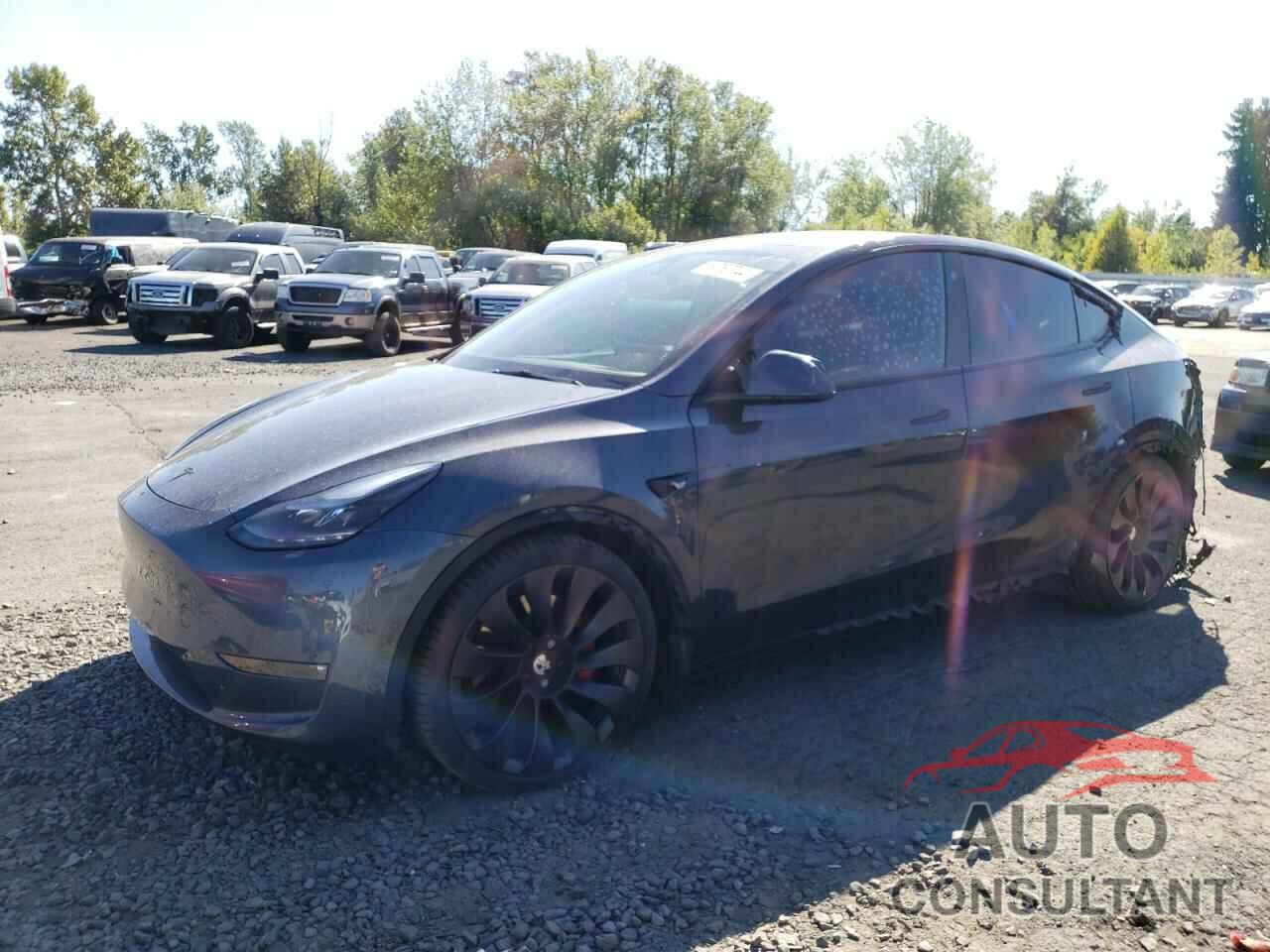 TESLA MODEL Y 2022 - 7SAYGDEF4NF346065