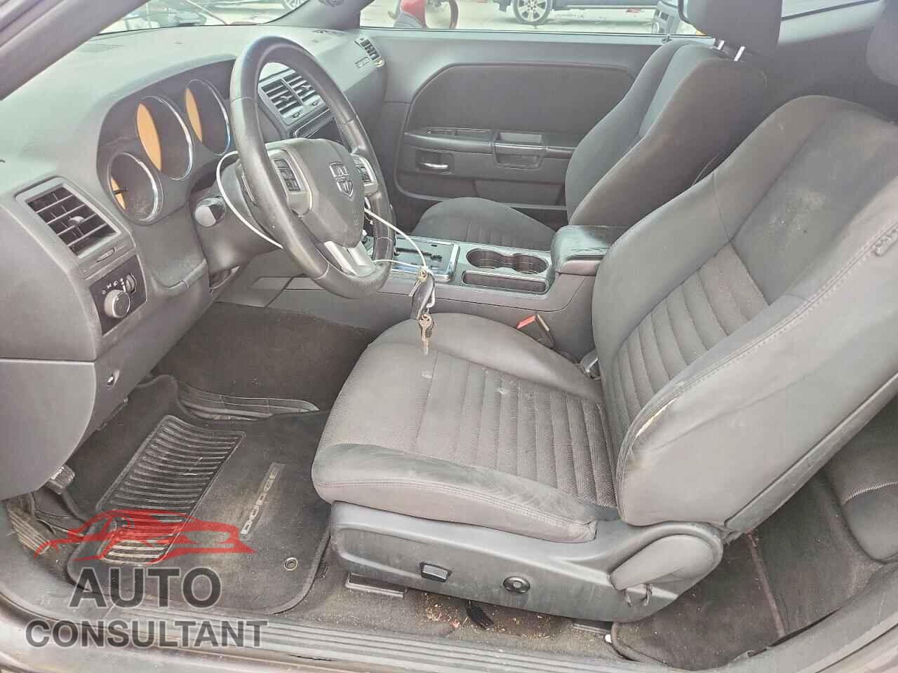 DODGE CHALLENGER 2013 - 2C3CDYAG2DH553539