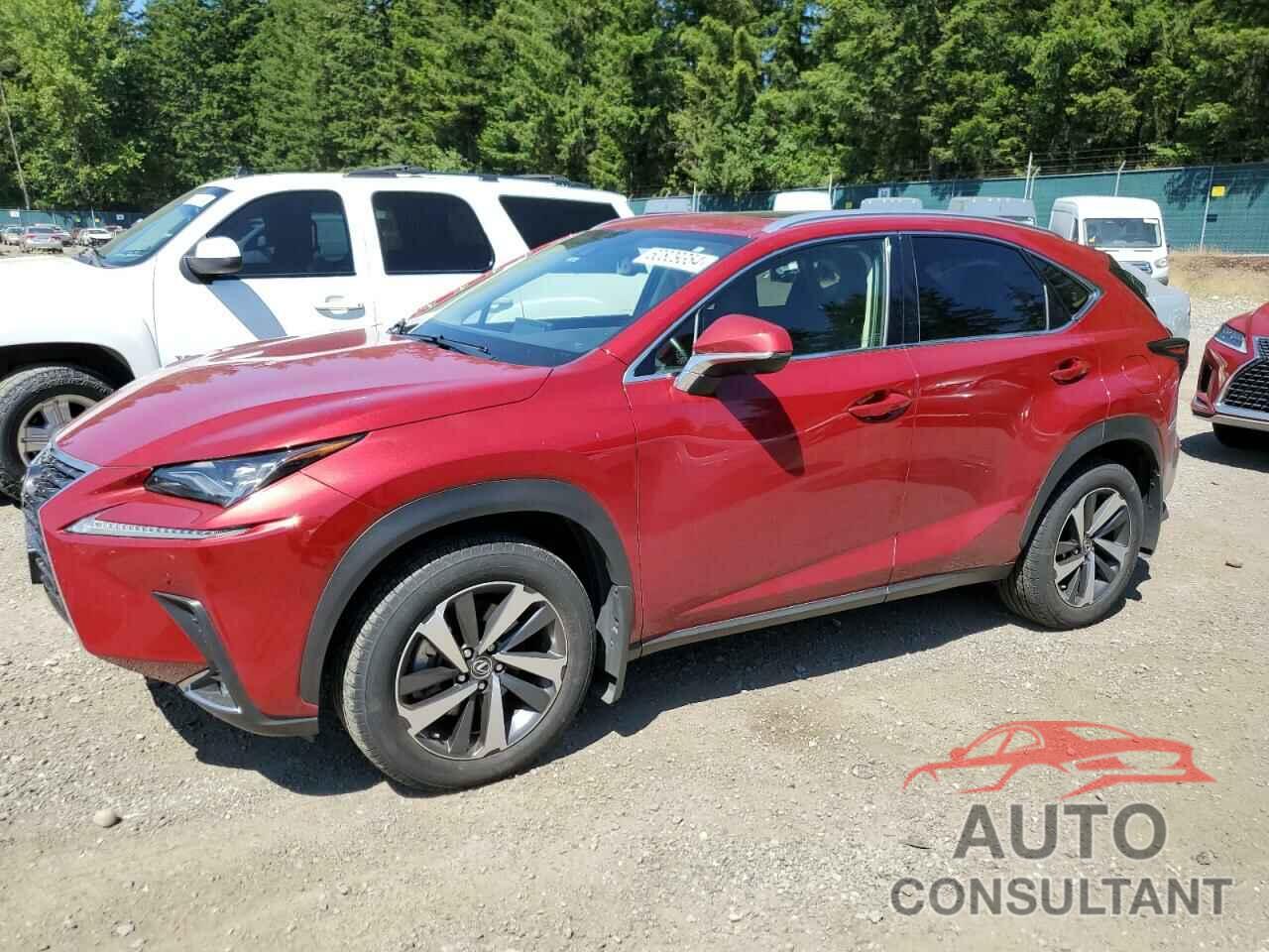 LEXUS NX 2021 - JTJHARDZ4M5023686