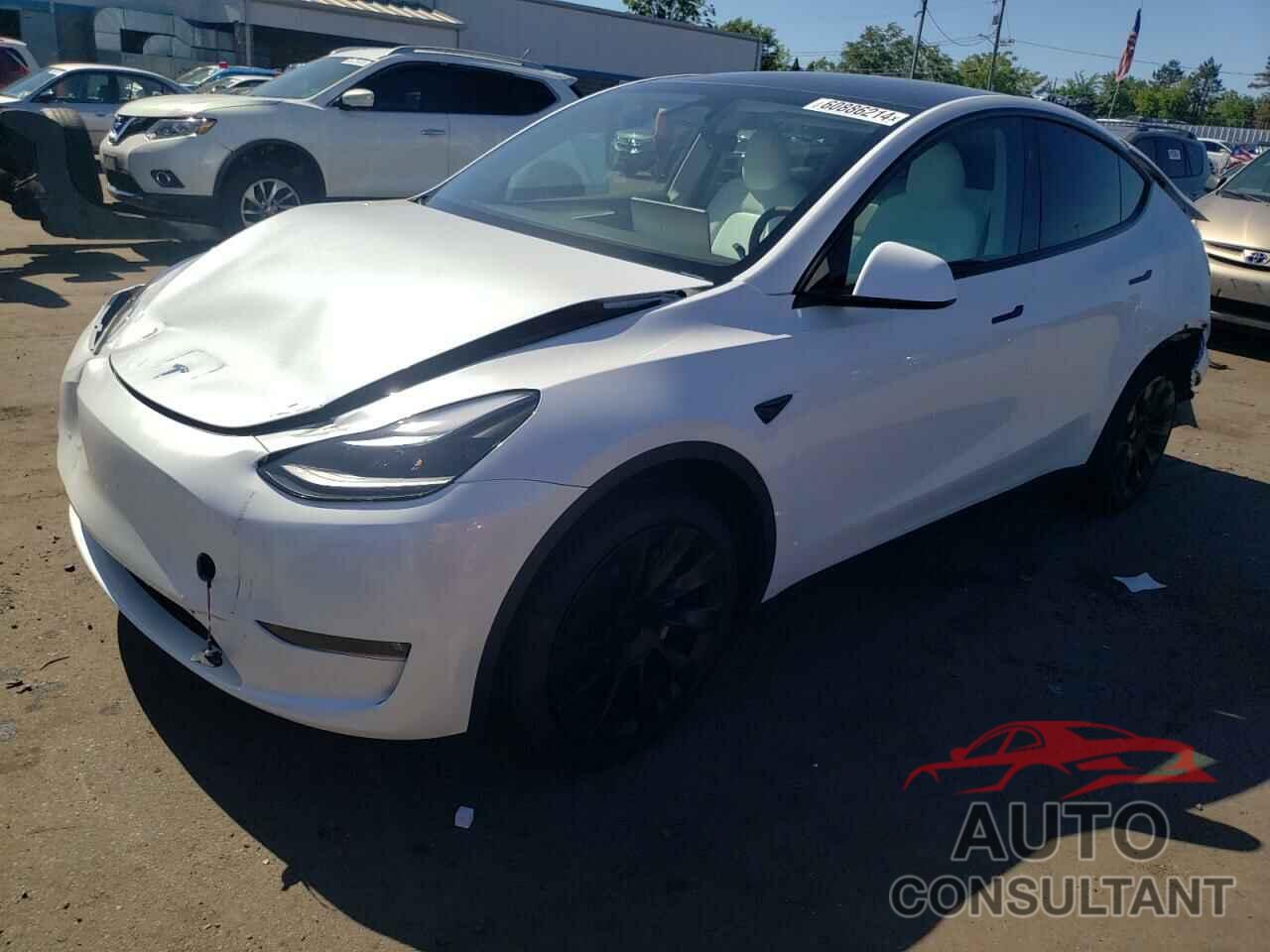 TESLA MODEL Y 2024 - 7SAYGAEE0RF102554