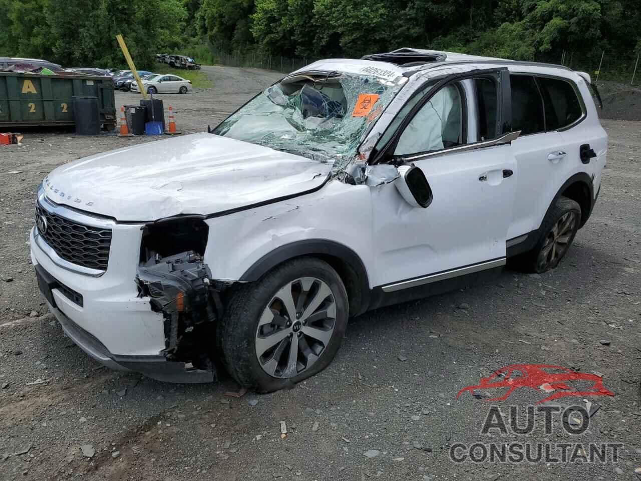 KIA TELLURIDE 2021 - 5XYP6DHC5MG149779