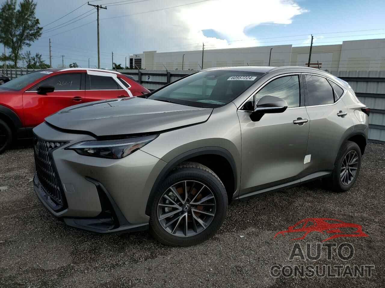 LEXUS NX 250 2023 - 2T2GDCAZ4PC005070